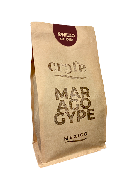 CRAFE MEKSYK MARAGOGYPE.png
